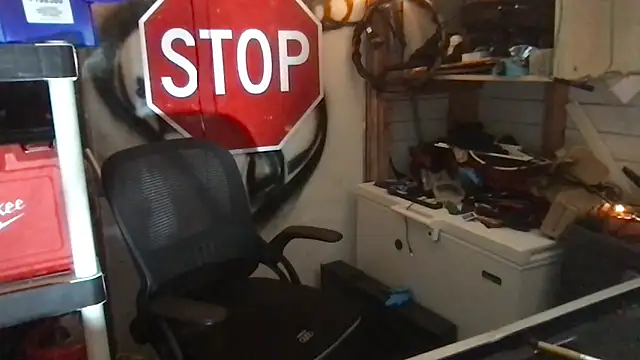 SinlessFreedom7 webcam