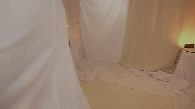 arizonasunrise webcam