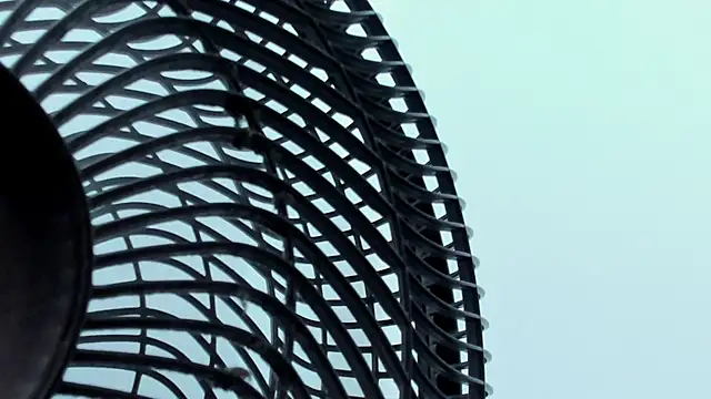 Vittoria_Conti_ webcam