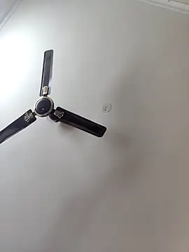 Hottie_hania Live Webcam on Stripchat