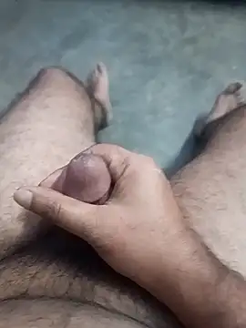 TrainedBend28 webcam