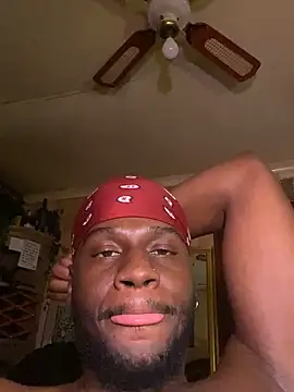 black_Man_dingo webcam