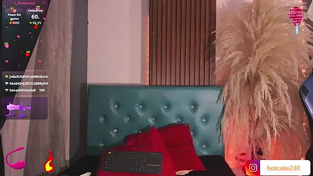 Hiddenhotcake webcam