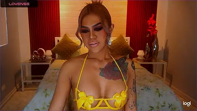 StellaStrong30 webcam