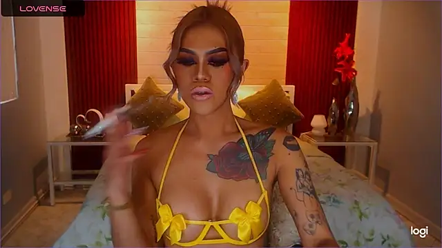 StellaStrong30 webcam