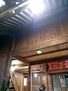 bing-bing88 - Bing-bing88's free webcam