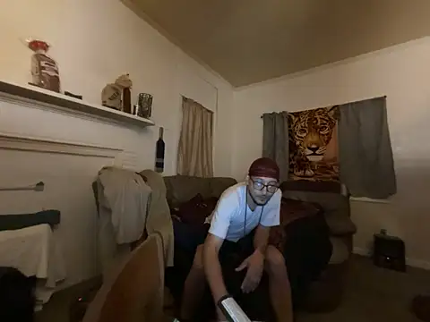 ThrowedWorldWide webcam