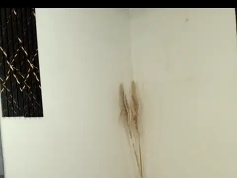 Celeste_ruiz07 webcam