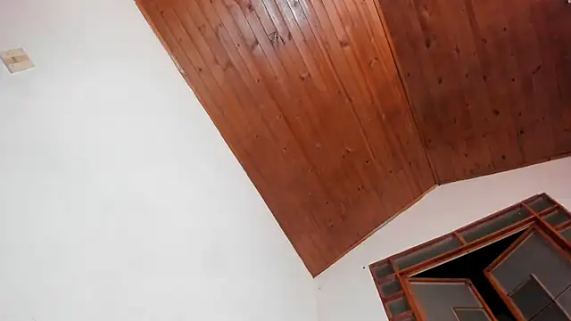 oliver_price1 webcam