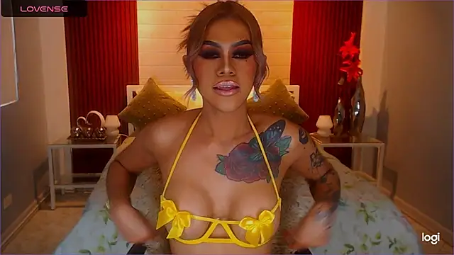 StellaStrong30 webcam