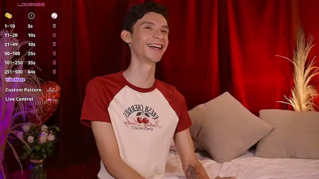 VicenteFerrer webcam