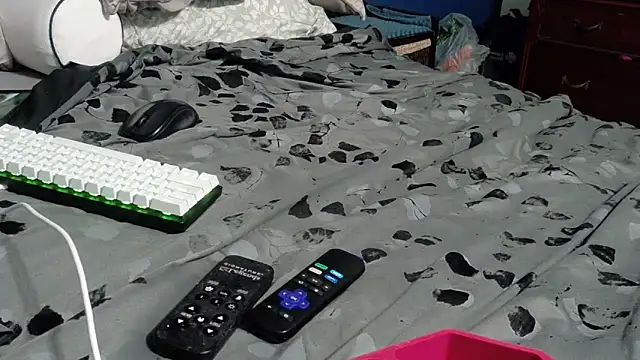 allenspuninfla webcam