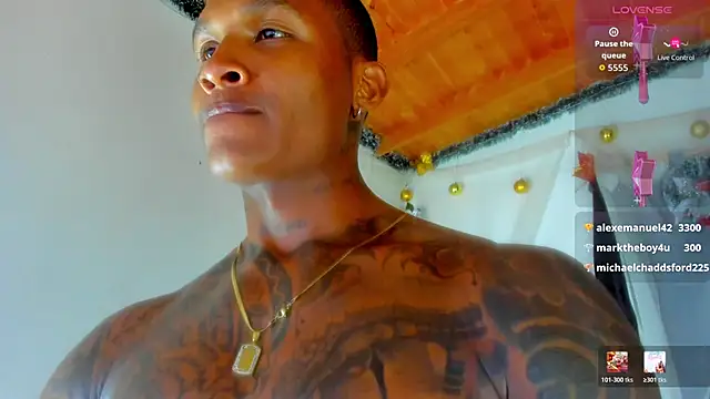 esteveen_ortegas_ webcam