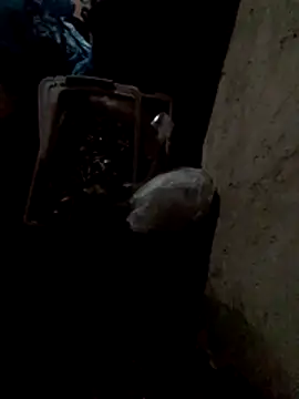 TattyFoxglove webcam