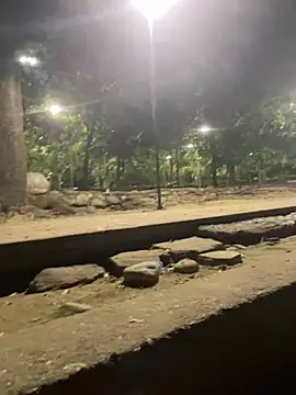 Datoka_adrenaline webcam