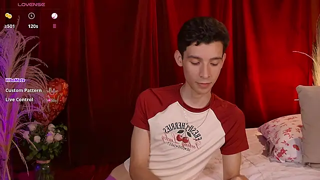 VicenteFerrer webcam