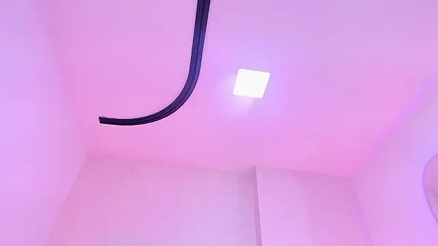 _carolina_fox webcam