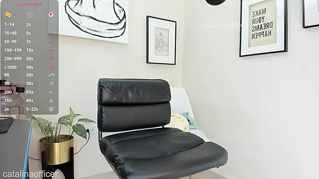 catalinaofficer webcam