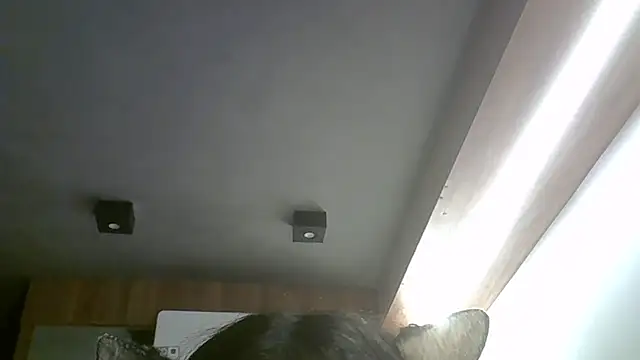 SkinnyKitten webcam
