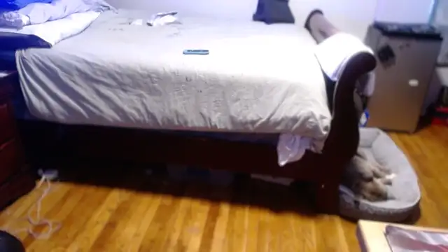 flexingplexico webcam