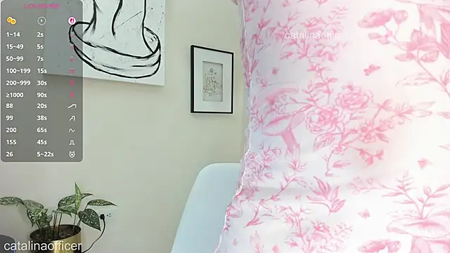 catalinaofficer webcam