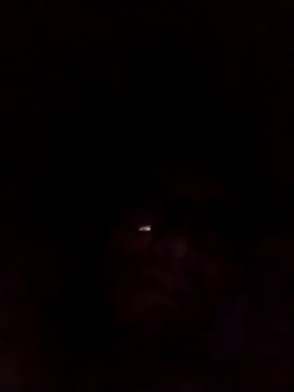 degeneradicto webcam