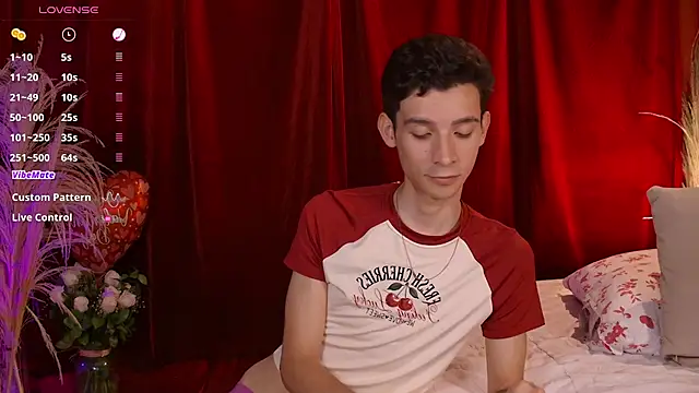 VicenteFerrer webcam