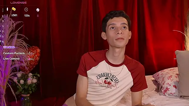 VicenteFerrer webcam