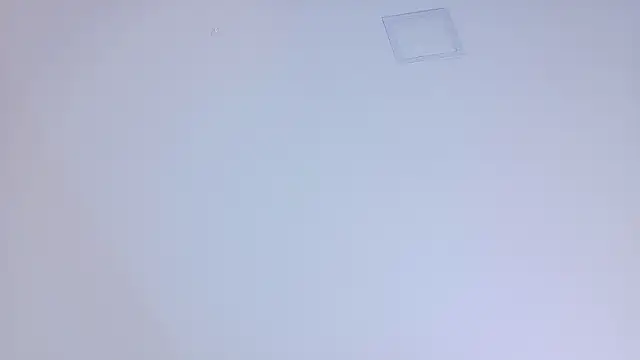 AmberStonne__ webcam