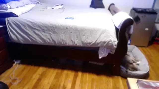 flexingplexico webcam