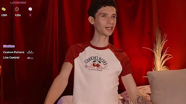 VicenteFerrer webcam