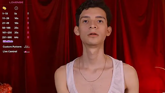 VicenteFerrer webcam