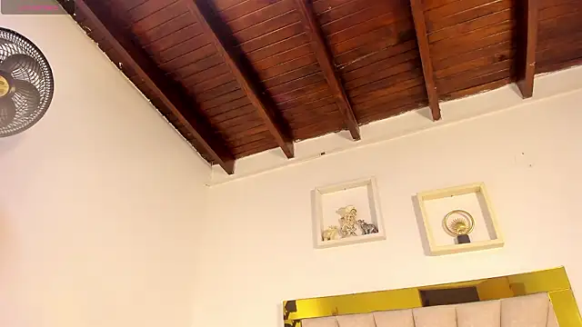 vahiolet_fuentes webcam