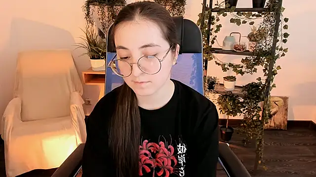 VirtuallVoyant webcam