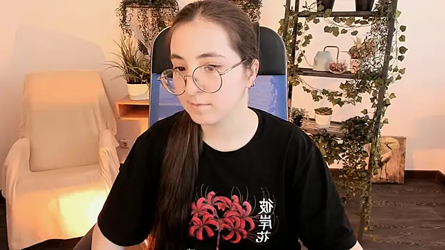 VirtuallVoyant webcam