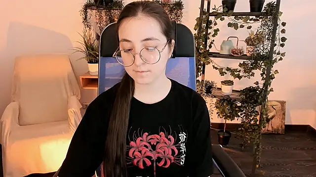 VirtuallVoyant webcam