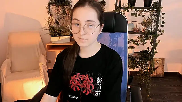 VirtuallVoyant webcam