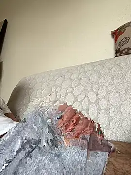 Sikici17cm555 webcam