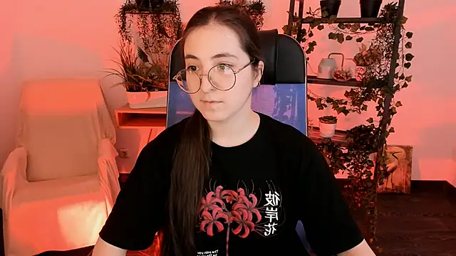 VirtuallVoyant webcam