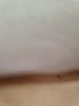 CuteSarikaLIVE webcam