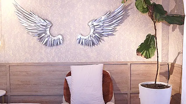 Ethan_occonor webcam