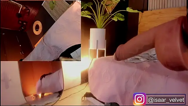 Velvet_Dreamss webcam