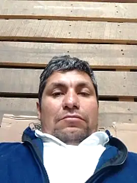 TattyFoxglove webcam