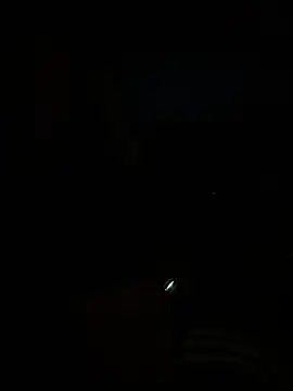 Amani_thewolf webcam