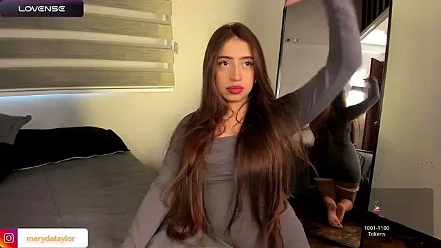 MERIDA_TAYLOR webcam