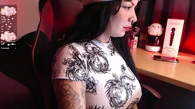 Theprojectsaraa webcam