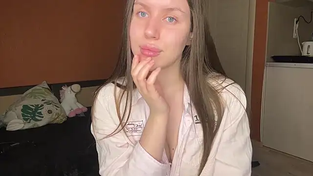 SanoraVillnave webcam