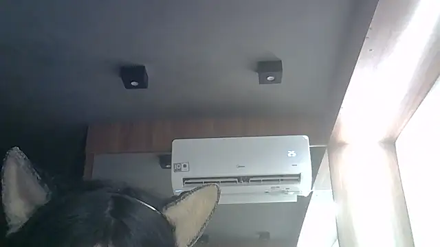 SkinnyKitten webcam