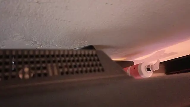 Sara_valderrama_ webcam