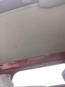 TattyFoxglove webcam